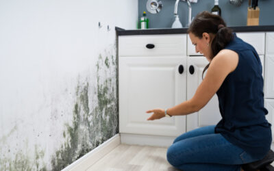 Understanding Mold in Homes: A Guide for Homeowners and Buyers